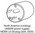 CAB- 7513AC= 110Vac 20A, NEMA 5-20 plug WS-CAC- 3000W 3000 W AC-input power supply 2500W- US1= 16A, straightblade NEMA 6-20 plug C6K- TWLK= 16A, twistlock NEMA L6-20 plug WS-CAC- 4000W-US 4000W AC