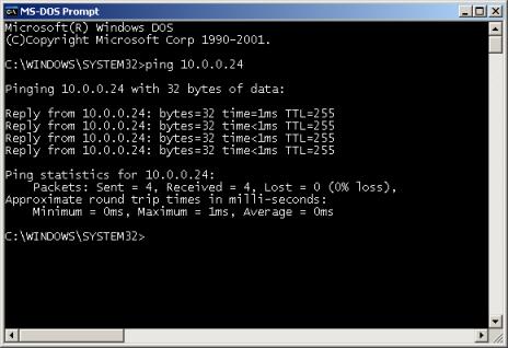 To test that the IP address has been assigned successfully, open a command prompt and ping the ewon.