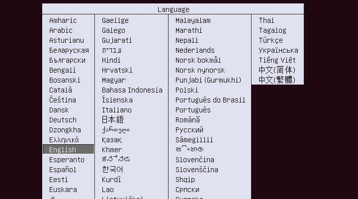 4. On the Language screen, select the language for the
