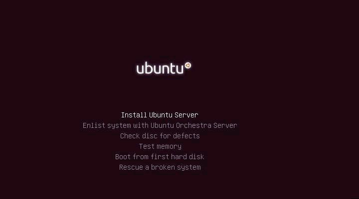 On the Ubuntu Server boot manager screen, select Install