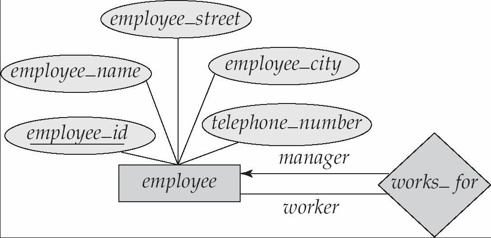 Roles Entity sets of a relationship need not be distinct The labels manager and worker are called roles; they specify how employee entities interact via the works_for relationship