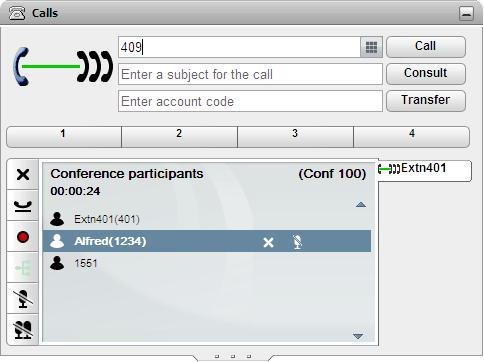 Conference Calls: Conference Call Controls 4.5 Adding Another Party to a Conference You can add an additional party to the conference. 1. Enter the number you want to call and click on Call.