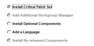 8. Ensure that both the Critical Patch Set Staging Directory