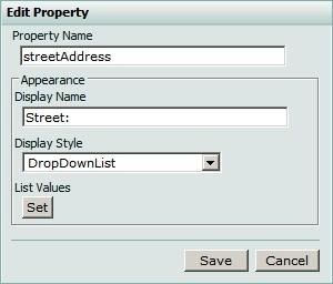 The Appearance settings allow the administrator to specify how the users should enter the information for the AD properties.