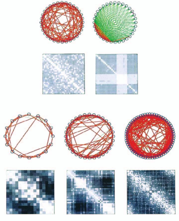 A 8 8 6 6 4 4 3 8 6 4 3 3 8 6 4 3 B 4 8 6 8 6 3 4 48 6 4 8 6 3 8 6 4 36 64 6 3 48 64 Fig. 4. Networks of high complexity (Sporns and others 00).