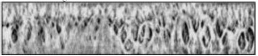 Figure 5 : Normalized Iris after enhancement Image Feature encoding was done with 1D Log-Gaber wavelet.2d the pattern was normalized into a number of 1D signal.