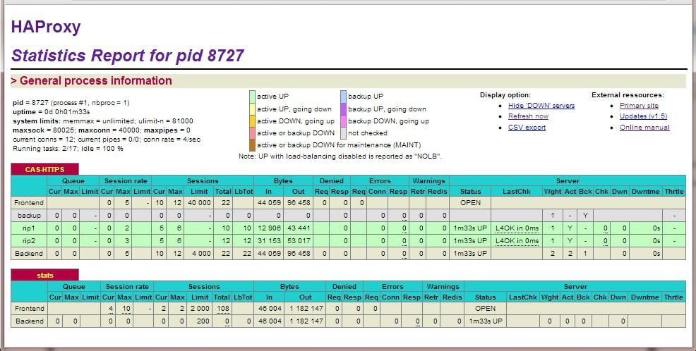 Testing & Verification LAYER 4 STATUS REPORT The Layer 4 Status report gives a summary of layer 4 configuration and running stats as shown below.