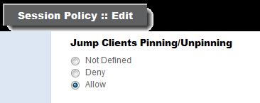 Set Jump Client Pinning and Unpinning Permissionsj Allow Users to Pin Jump Clients Permission to deploy, remove, and modify Jump Items always grants the user permission to download and install Jump