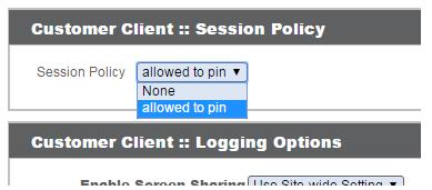 If you allow pinning/unpinning for a public portal, then all sessions started through that portal allow the representative to pin/unpin, regardless of any permissions assigned to