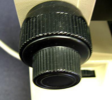 The microscope has two focusing knobs mounted together.