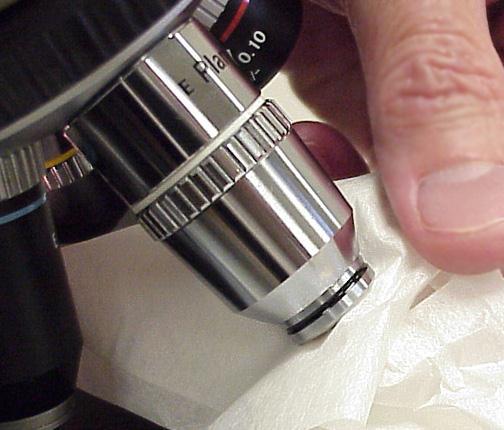 3. Using lens paper, carefully clean all the oil off of the oil immersion lens using
