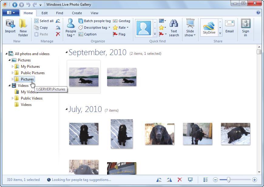 Sharing Photos 197 To view the folder contents in Windows Live Photo Gallery, click Pictures in the Folders pane, as shown in Figure 8.11. Pictures share FIGURE 8.11 Photo Gallery.