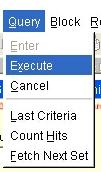 To return or EXECUTE the query, you can choose from one of