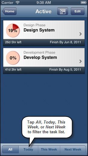 In Team Member for iphone app, team members can filter tasks based on a timeframe of Today, This Week, or Next Week.