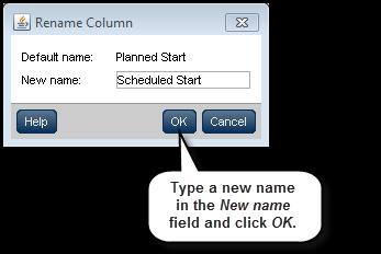 Renaming Columns P6 R8.3 gives users the ability to rename columns on the Activities page.