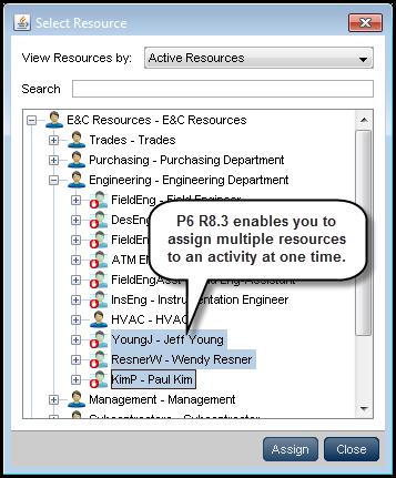 Selecting Multiple Items in Assign Dialog Boxes P6 R8.3 enables a user to assign multiple resources, roles, predecessors or successors at one time on the Activities page.