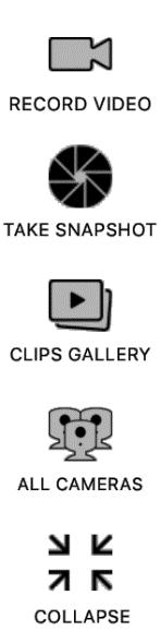 Clips Gallery. Displays thumbnails (with time stamp) of the photos and video clips captured the currently selected camera. All Cameras.
