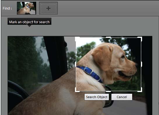 Searching 110 For example, to search for photos containing your pet dog, select the face of your dog in one of the photos.