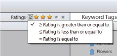 Searching 116 Rating is equal to 2 Select one of the stars in the star ratings filter. Exclude media files from a search You can exclude media files from your search results.