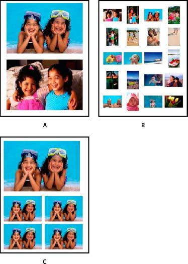 Printing and sharing 139 A Individual photos B Contact sheet C Picture package To swap images in a layout, drag an image onto another image.
