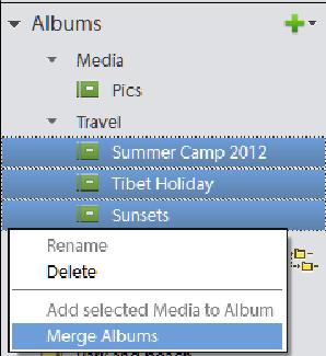 Catalogs, folders, and albums 58 Merge albums You can merge multiple albums into a single album, the album created contains all the photos in the merged albums.