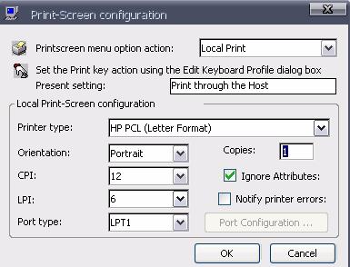 Printscreen menu option action determines if the print screen key