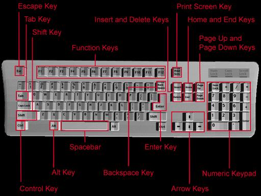 More on Input: The Keyboard The computer keyboard offers a range of special functions that are important to master in order to use a computer best as a tool for information literacy.