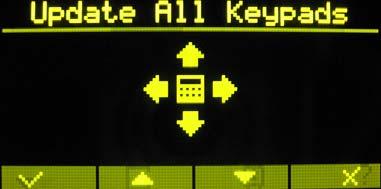 OLED (or LCD) keypads connected to the same Runner panel.