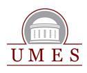 SUMMER 2013 UMES Center for Student Technology Competency and