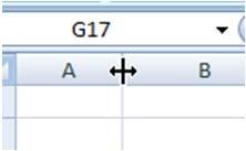 The cursor will change to a double headed arrow. If you hold down the left mouse button, you can move the cursor to resize the column like the columns above. 7.