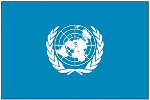 Text Tags (Also known as ALT Text) Graphic <IMG src= alt= United Nations Flag width= > Alt text No No s Too long: Image of the