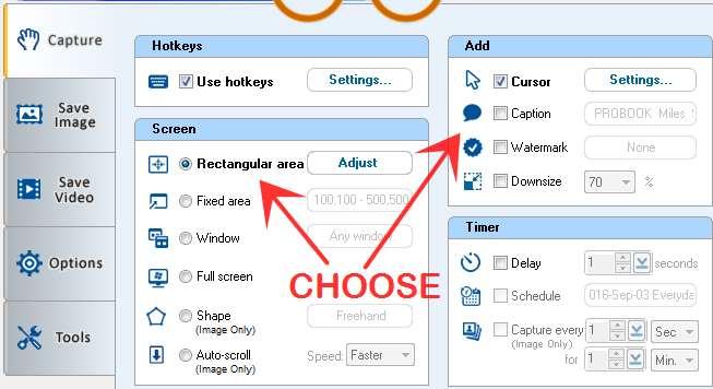Step #3: Choose Where to Save Your Capture: "Save Image" In this example, we went to the Save Image tab, and selected Clipboard to copy the capture to the Windows Clipboard, and selected