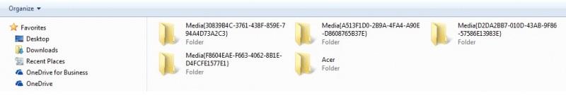 Once inside the Archive folder there will be one Media folder for each volume that has files backed up.