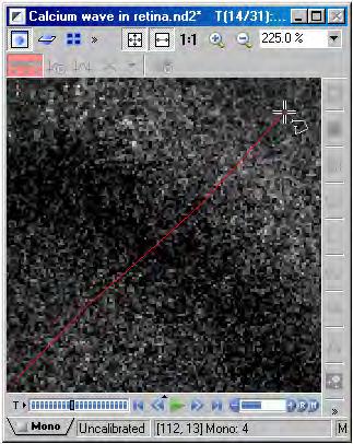 ND Processing Create Kymograph by Line A Kymograph refers to an orthogonal (slice) view of a time lapse data set. This orthogonal view can represent one XY point vs. time, or changing XY positions vs.