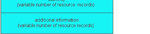 response to query records for authoritative