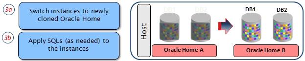 Rapid Recovery Switchback to original Oracle Home in case of