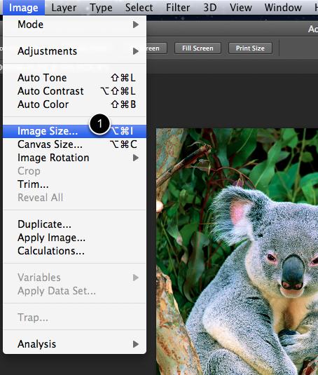 Resizing Images To resize your total image, from the Photoshop Menu select (1) Image > Image Size.