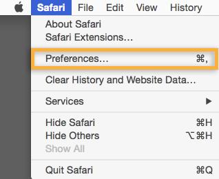 Safari on Mac or Windows - browser preferences 1.