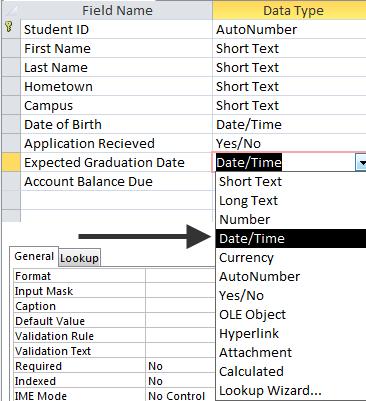 Figure 29 - Date/Time Default Values As the database designer, you have the option of including Default Values.