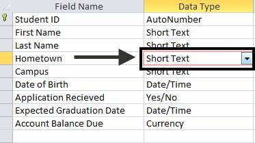 4. When the user opens a form, East Campus will appear as a default for the field Campus. This will make the job of the data entry person easier.