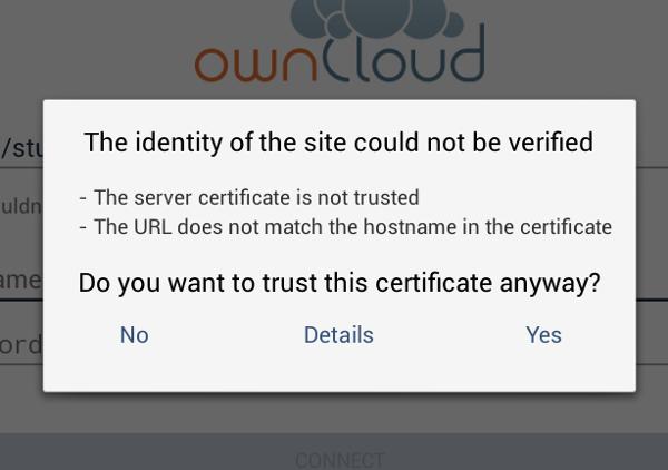 For best security, your owncloud server should be SSL-enabled so that you can connect via https.