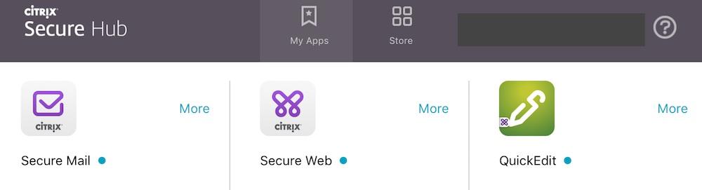 the enterprise developer, Citrix, is not trusted on that iphone and the app will not be available for use until the developer is