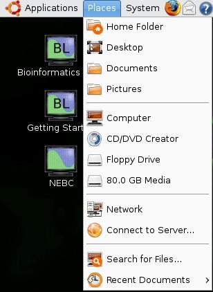 While many bioinformatics programs are available through the Bioinformatics sub-menu (Figure 3), many others are available only via the command line.