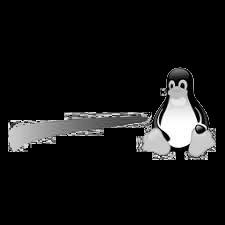 Applications Distribution Kernel Linux