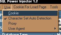 IMPORTANT NOTE The cookies added inside the Cookie For Load Page will be used and added to the cookie list only after you load a page.