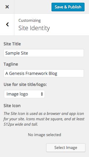 Site Identity You can set your site title, tagline, and upload your site icon (favicon) here.
