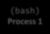 Program: executable code Program and process Process: a running instance of a program /bin/bash Program (bash) Process 1 (bash) Process 2 (bash) Process 3 Runtime