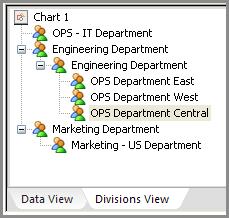f. Show Division View Displays the list of Divisions in the lower