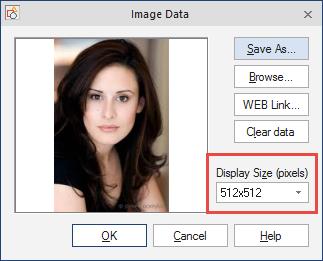 STEP 7. DIVISION CREATION POLICY RESIZING PHOTOS IN THE ORGCHART You can resize your photos that are in the OrgChart by double clicking on a photo and choosing a desired size.