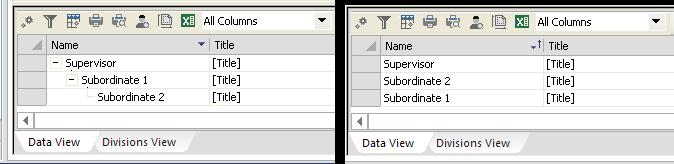 CHAPTER 1: ORGCHART BASICS Data Outline View with Hierarchy ON Data Outline View with Hierarchy OFF To toggle Hierarchy View on and off go to the View tab and select the leftmost icon.